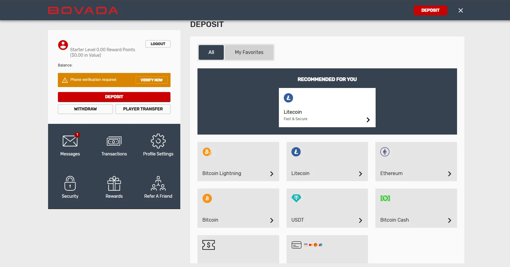 Bovada cashier interface displaying cryptocurrency and traditional payout methods at this offshore online casino